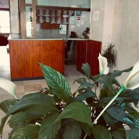 托雷莫利诺斯La Posada Del Viajero公寓 外观 照片